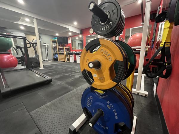 divi-fitness-theme-23 female personal trainers in ottawa